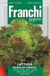 LETTUCE (Lattuga) Rossa Di Trento