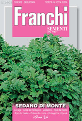 LOVAGE (Sedano di monte) 