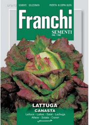 LETTUCE (Lattuga) Canasta