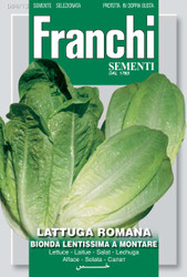LETTUCE ROMAINE (Lattuga) Lentissima A Montare 4