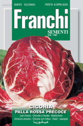 RADICCHIO (Cicoria) palla rossa