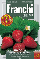 STRAWBERRY (Fragola) quattro stagioni 