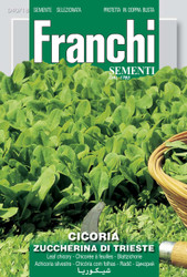 CHICORY (Cicoria) zuccherina di Trieste