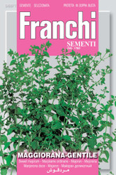 MAJORAM gentile (Maggiorana)