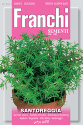 SUMMER SAVORY (Santoreggia)