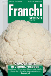 CAULIFLOWER (Cavolfiore) Verona precoce
