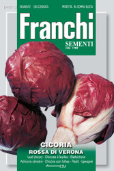 RADICCHIO (Cicoria) rossa di Verona