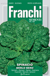 SPINACH (Spinacio) merlo nero