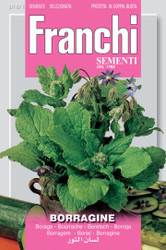 BORAGE (Borragine)