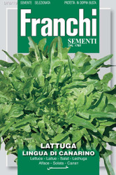 LETTUCE (Lattuga) Lingua Di Canarino
