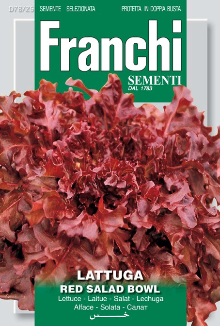 78 25b Lettuce Lattuga Red Salad Bowl