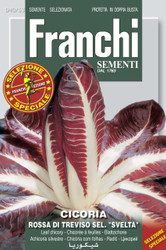 RADICCHIO (Cicoria) rossa di Treviso "svelta"