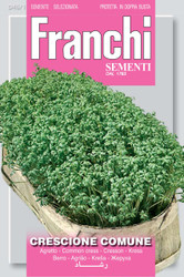 CRESS (Crescione) commune