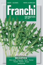ROCKET (Rucola) selvatica