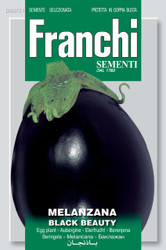 EGGPLANT (Melanzana) black beauty
