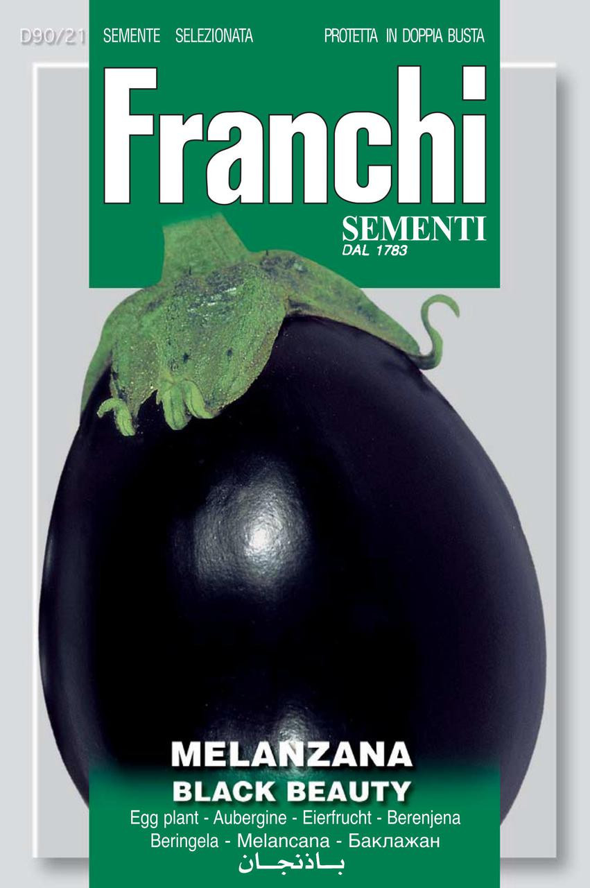 EGGPLANT (Melanzana) black beauty