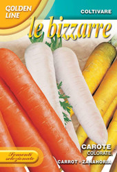 CARROT (carote) colorate GOLDEN LINE