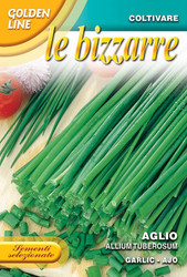 CHIVES GARLIC  (Aglio) GOLDEN LINE 