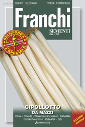 SPRING ONION (Cipollotto) da mazzi