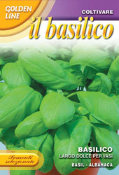 BASIL (Basilico) Largo Dolce Per Vasi
