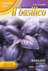 BASIL (Basilico) Red Rubin GOLDEN RANGE