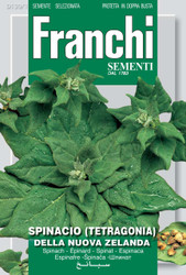 SPINACH - WARRIGAL GREENS (Tetragonia)