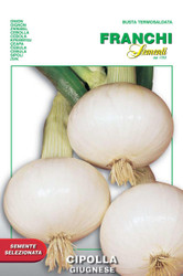 ONION (Cipolla) giugnese