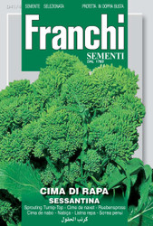 CIMA DI RAPA (Rapini) sessantina