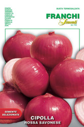 ONION (Cipolla) rossa savonese