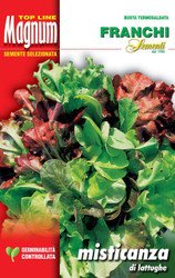 LETTUCE (Lattuga) Misticanza 93-1 Magnum 28g
