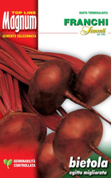 BEETROOT (Bietola da orto) Egitto migliorata MAGNUM 30g