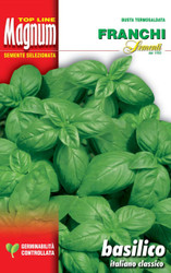 BASIL (Basilico) Italiano classico Magnum 20g