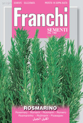 ROSEMARY (Rosmarino)