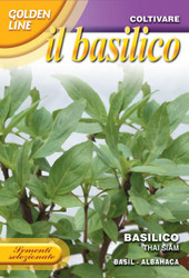 BASIL (Basilico) Thai Siam GOLDEN LINE