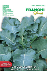 KALE (Cavolo Laciniato) Galega de Folhas Lisas