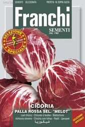 RADICCHIO (Cicoria) palla rossa 2 sel. "melot"