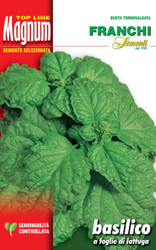 BASIL (Basilico) Foglie Di Lattuga MAGNUM 20g 