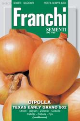 ONION (Cipolla) Texas early grano 502