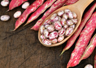 SHELLING BEAN (Fagiolo Rampicante) Borlotti