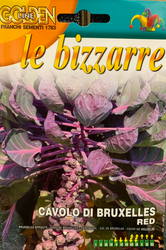 BRUSSEL SPROUTS (Cavolo Bruxelles) Red