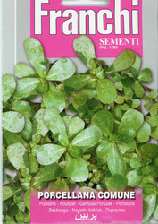 PURSLANE (Porcellana) 
