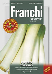 LEEK (Porro) Tornado 