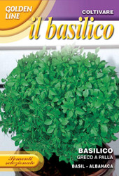 BASIL (Basilico) Greco a Palla