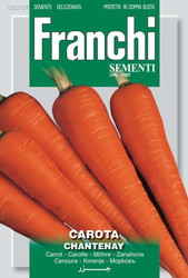 CARROT (CAROTA) Chantenay