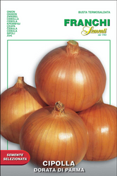 Onion (Cipolla)  Dorata Di Parma