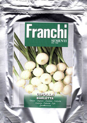 Onion (CIPOLLA) Barletta Blanca BULK 