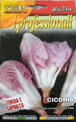 CHICORY (Cicoria) Rosa Professional Range  BULK 10 GRAMS 7,500 seeds approx