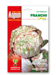 CHICORY (Cicoria) - Variegata Di Lusia MAGNUM 30 G