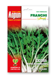 Chicory (Cicoria) - Barba Di Cappucino MAGNUM 30 G
