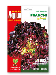 LETTUCE (Lattuga) - Red Salad Bowl MAGNUM 12 G 